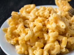 Difference Between Vegan Cheese And Vegetarian Cheese: Expert Explains