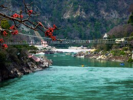 ऋषिकेश की ये हसीन जगहें चुरा लेंगी आपका दिल, घूमने का प्लान बनाने से पहले एक बार डाल लें नजर ऋषिकेश की ये हसीन जगहें चुरा लेंगी आपका दिल, घूमने का प्लान बनाने से पहले एक बार डाल लें नजर