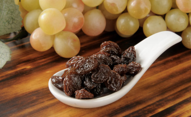 हर दिन काली किशमिश खाने के ये 2 बड़े फायदे जानकर आज से ही कर लेंगे डाइट में शामिल