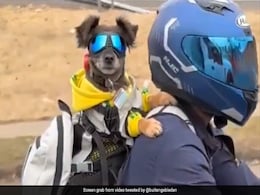 कुत्ते ने लगाया था चश्मा, बाइक पर मालिक के पीछे बैठकर दिखाया ऐसा स्वैग, लोग हो गए फिदा कुत्ते ने लगाया था चश्मा, बाइक पर मालिक के पीछे बैठकर दिखाया ऐसा स्वैग, लोग हो गए फिदा