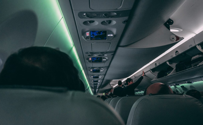 US Plane Returns To Japan After "Heavily Drunk" Flier Bites Cabin Crew