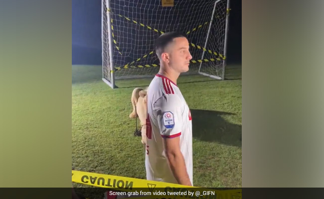 Video: Greek Footballer Kostas Manolas 'Terrified' After Lion Roars At Him During A Photoshoot