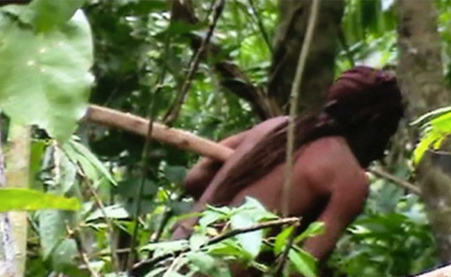 Last Known Survivor Of Amazon Tribe, Who Evaded Contact, Dies