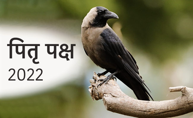 Pitru Paksha 2022: क्यों लगता है पितृ दोष, जानें सही वजह और मुक्ति पाने के लिए क्या करें खास उपाय