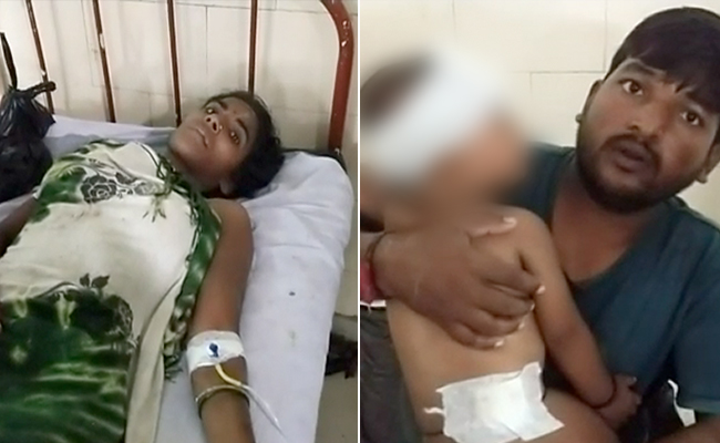 Her Son In Tiger's Jaws, Madhya Pradesh Woman Fought It With Bare Hands