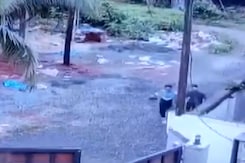 Chased By Dogs, Kerala Students Make A Narrow Escape Chased By Dogs, Kerala Students Make A Narrow Escape