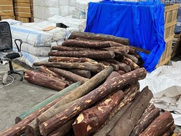 सेंट्रल इंटेलिजेंस यूनिट को मिली बड़ी सफलता, 3030 किलोग्राम लाल चंदन जब्त सेंट्रल इंटेलिजेंस यूनिट को मिली बड़ी सफलता, 3030 किलोग्राम लाल चंदन जब्त