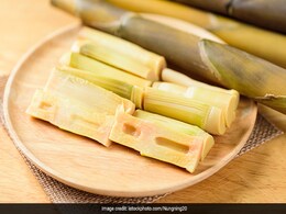 World Bamboo Day 2022: बांस को खाने के भी हैं कई फायदे, जानिए किस तरह किया जाता है इसका सेवन  World Bamboo Day 2022: बांस को खाने के भी हैं कई फायदे, जानिए किस तरह किया जाता है इसका सेवन