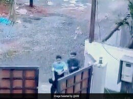 काटने के लिए कुत्ते दौड़ पड़े थे, बड़ी मुश्किल से दौड़कर दो बच्चों ने जान बचाई, विचलित कर देगा वीडियो काटने के लिए कुत्ते दौड़ पड़े थे, बड़ी मुश्किल से दौड़कर दो बच्चों ने जान बचाई, विचलित कर देगा वीडियो