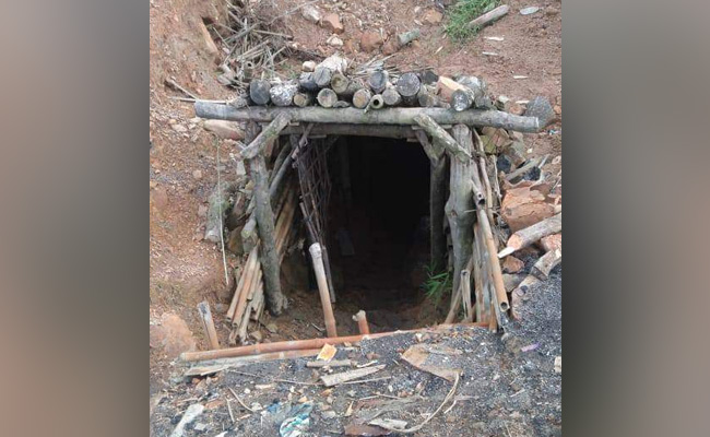 3 Workers Killed In Illegal "Rat Hole" Mine In Assam, 5 Arrested