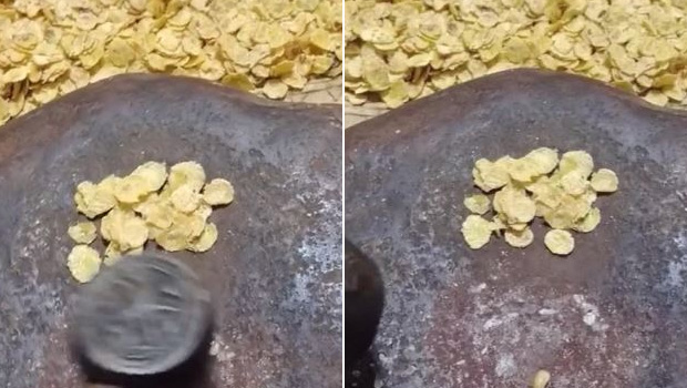 Viral Video Shows How Cornflakes Are Made And It Is Quite A Task