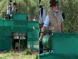 Watch: Moment When Cheetahs Were Released Into Their New Home Watch: Moment When Cheetahs Were Released Into Their New Home