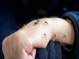 अगर आपको ही हर बार काटते हैं मच्छर तो हो सकते हैं ये 4 कारण, जानिए क्यों Mosquitoes के फेवरेट हैं आप  अगर आपको ही हर बार काटते हैं मच्छर तो हो सकते हैं ये 4 कारण, जानिए क्यों Mosquitoes के फेवरेट हैं आप