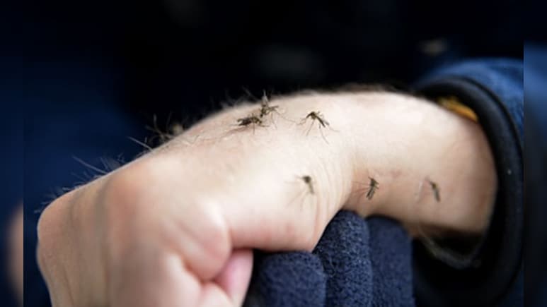 किसे काटें, कैसे चुनते हैं मच्छर? नई स्टडी ने खोला बड़ा राज, आप भी हो सकते हैं उनके टारगेट!