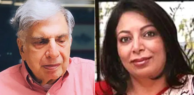 "No Criminality Found" In Niira Radia Tapes, CBI Tells Supreme Court, Cites 14 Probes
