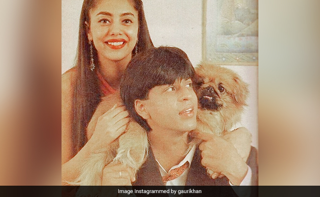<i>Koffee With Karan 7</i>: If Shah Rukh Khan And Gauri's Love Story Were A Film, It Would Be <i>DDLJ</i>