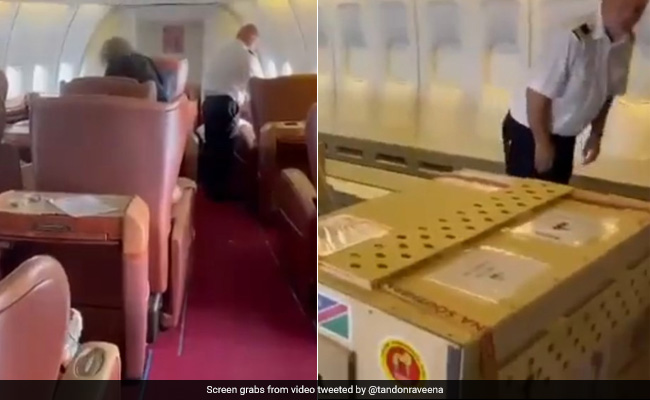 Video: Inside View Of The Plane That Brought Cheetahs To India