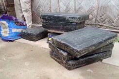 400kg Cannabis Seized In Assam's Nagaon, One Arrested 400kg Cannabis Seized In Assam's Nagaon, One Arrested