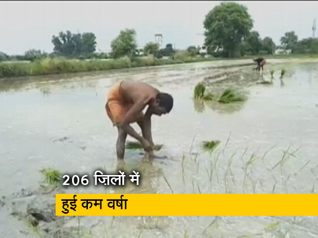 औसत से कम बारिश होने से किसान हुए परेशान