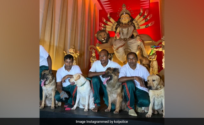 Pics: 4 Police Dogs As Chief Guests At Kolkata Durga Puja <i>Pandal</i>