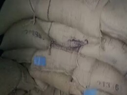 यूपी : स्कूल के बंद कमरे में 'सड़' रहा मिडडे मील का अनाज , Video Viral होने के बाद जांच के आदेश यूपी : स्कूल के बंद कमरे में 'सड़' रहा मिडडे मील का अनाज , Video Viral होने के बाद जांच के आदेश