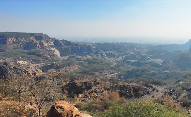 Gurugram To Get "World's Largest Safari", Park To Cover Over 10,000 Acres