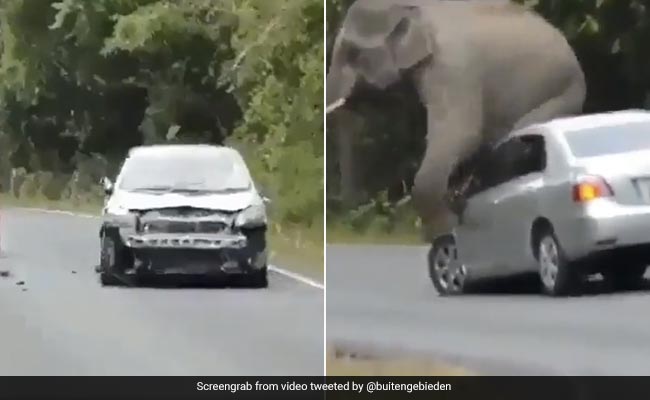 Viral Video: Elephant Damages Car To Scratch Itself, Internet In Splits