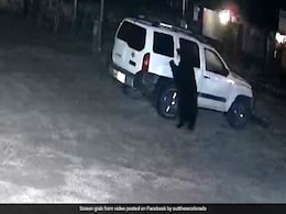Caught On Camera: Bear In US Easily Opens Car Door, Climbs Inside Caught On Camera: Bear In US Easily Opens Car Door, Climbs Inside