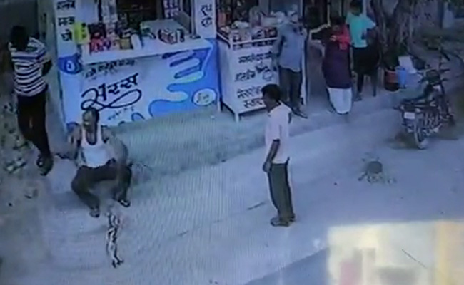 Video: Rajasthan's 'Snake Man' Dies Minutes After Being Bitten By A Cobra