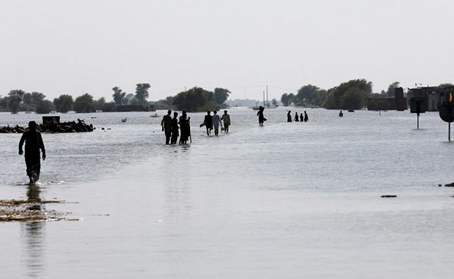 Mountain Mudslide In Pak Creates 7-Km Lake, "Catastrophic" Floods Feared