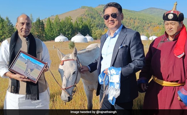 मंगोलिया के राष्ट्रपति ने रक्षा मंत्री राजनाथ सिंह को गिफ्ट में दिया घोड़ा, नाम रखा गया 'तेजस'