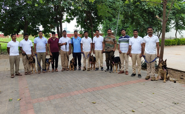 Wildlife Sniffer Dog Force Gets 6 Young German Shepherds As New Recruits