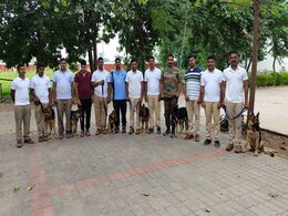 Wildlife Sniffer Dog Force Gets 6 Young German Shepherds As New Recruits Wildlife Sniffer Dog Force Gets 6 Young German Shepherds As New Recruits