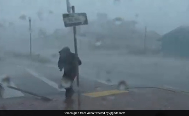 तूफान ‘इयान’ की तेज़ हवाओं के साथ अचानक उड़ने लगा रिपोर्टर, उड़ते हुए पेड़ से टकराया, फिर हुआ कुछ ऐसा