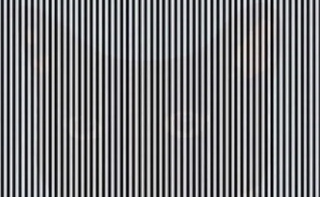 Optical Illusion: इस तस्वीर में कौन सा जीव छिपा है? 4 सेकंड में जवाब देने वाले बुद्धिमान होंगे