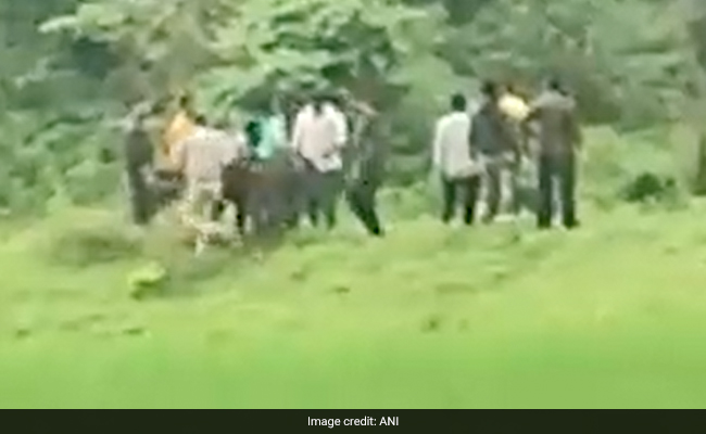 Video: Forest Officials Reunite One-Month-Old Elephant Calf With Herd