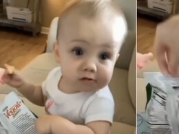 Viral: Video Of Baby Snatching Chips Is Too Funny To Miss