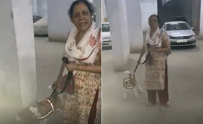 Woman Confronted By Man Whose Son Was Bit By Her Dog. Her Response Is...