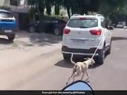 VIDEO: कुत्ते के गले में रस्सी बांध गाड़ी से घसीटा, आरोपी डॉक्टर के खिलाफ केस दर्ज VIDEO: कुत्ते के गले में रस्सी बांध गाड़ी से घसीटा, आरोपी डॉक्टर के खिलाफ केस दर्ज