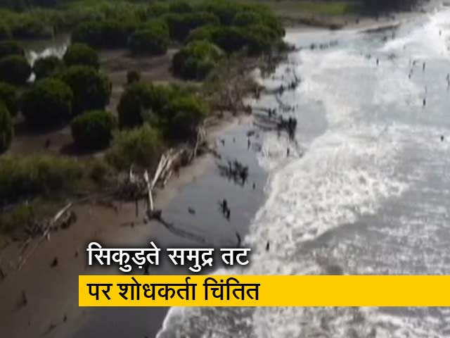 समुद्र में समा गई 55 हेक्टेयर जमीन, मुंबई से लगे रायगढ़ की घटना