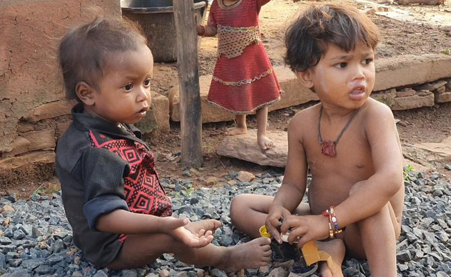 "Cheetahs Won't Change This": Scant Cheer Among Locals Over Historic Move