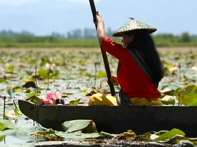 How Manipur Artisan Started Making Lotus Silk