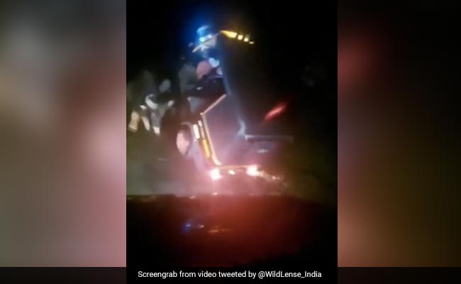 Video: Bison Rams Into An Auto Rickshaw, Nearly Flips It In Kerala