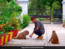 बंदरों को भगाने के लिए IPS ने अपनाई ये गजब ट्रिक, बोले- डंडाधारी पहलवानों की ड्यूटी खत्म बंदरों को भगाने के लिए IPS ने अपनाई ये गजब ट्रिक, बोले- डंडाधारी पहलवानों की ड्यूटी खत्म