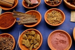 'Sodhani Biotech' Creating Natural Dye From Plants And Plant Waste 'Sodhani Biotech' Creating Natural Dye From Plants And Plant Waste