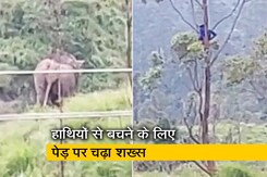 Video: केरल में हाथियों से बचने के लिए डेढ़ घंटे तक पेड़ पर बैठा रहा शख्स   Video: केरल में हाथियों से बचने के लिए डेढ़ घंटे तक पेड़ पर बैठा रहा शख्स