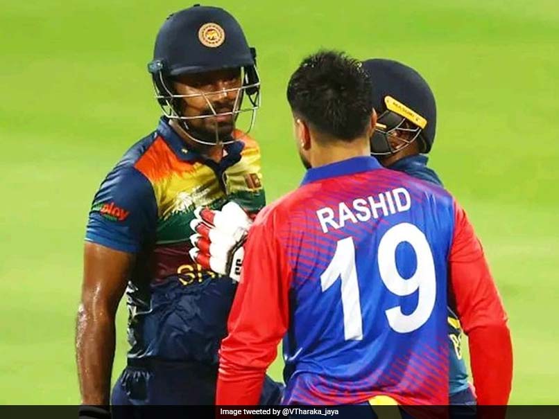 Watch: Tempers Flare As Rashid Khan-Danushka Gunathilaka Involved In Altercation Mid-Pitch