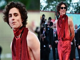 Timothee Chalamet Gives The Boys A Backless Fashion Moment Worth Swooning Over Timothee Chalamet Gives The Boys A Backless Fashion Moment Worth Swooning Over