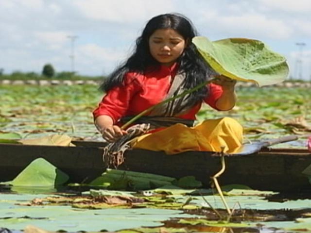 Lotus Silk And Its Health Benefits