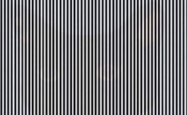 इस तस्वीर में छिपे जीव के बारे में कोई नहीं बता पाया है, 10 सेकंड में जवाब देकर बन जाएं सबसे तेज़